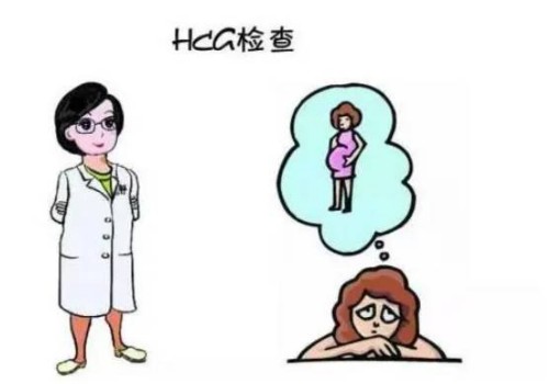 卵子质量不好元凶竟是“它“，4个小妙招帮你提高卵子质量