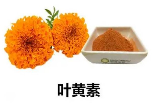 小儿止咳贴有副作用吗？小儿止咳贴这些注意事项最好知道