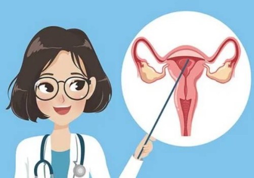2022男女双方要想提高生男孩的几率该如何备孕呢-